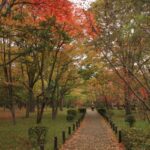 autumn_trail