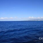 7月2日から5日にかけて発生したau(KDDI)の大規模通信障害 blue_ocean