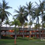 palm_and_parking