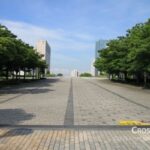early_summer_walk