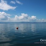 au通信障害の原因は作業指示のミス・作業承認のミスとKDDIが説明 buoy_floating_on_the_lake