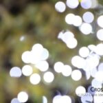 firefly_small