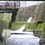 river_junction