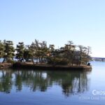pine_and_cove