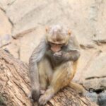 暗号化したUSBメモリにパスワードを貼り付けた残念な運用 monkey