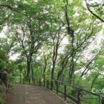 新年度の変化 fresh_green