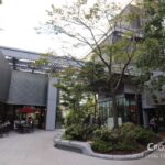 2024年の総括と2025年への期待 terrace