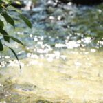 夏休みスタート! reflected_on_the_river