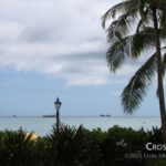 palm_and_beach